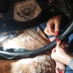 efabfa0a-fd7c-439b-a236-5fb1c3b5d319